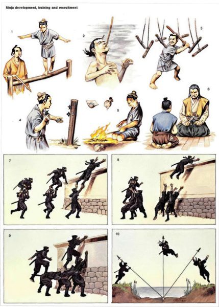 Stages of ninja training