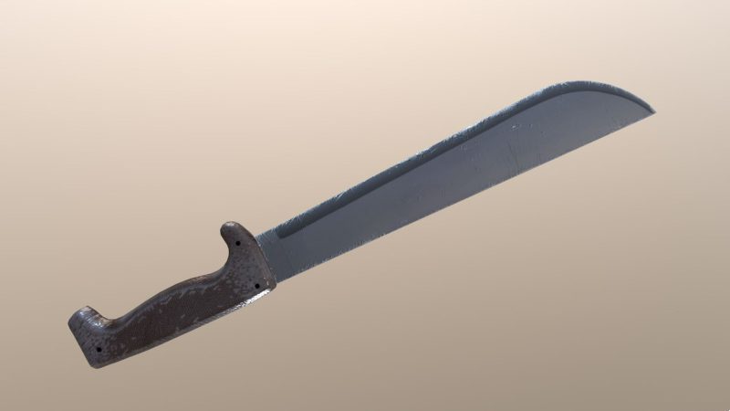 Typical Looking Machete Sword