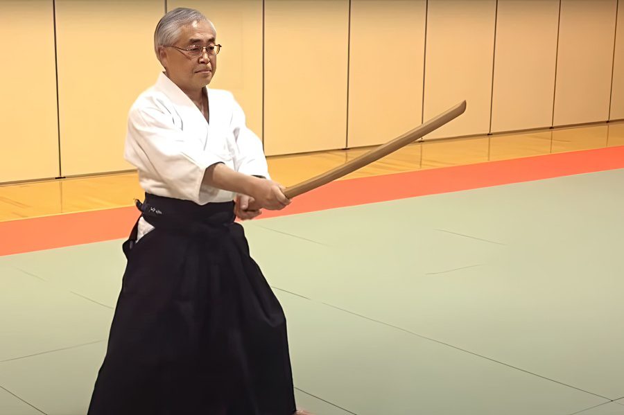Suburi Aikido Style Training
